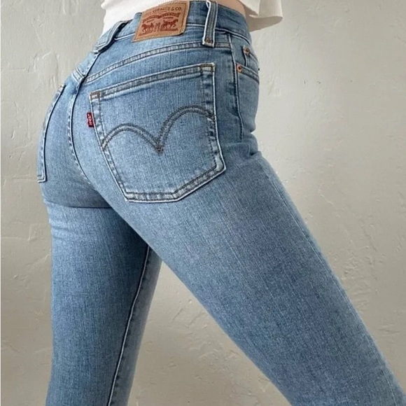 Levi's Denim - Levi's Women's Light Blue Wedgie Skinny Jeans